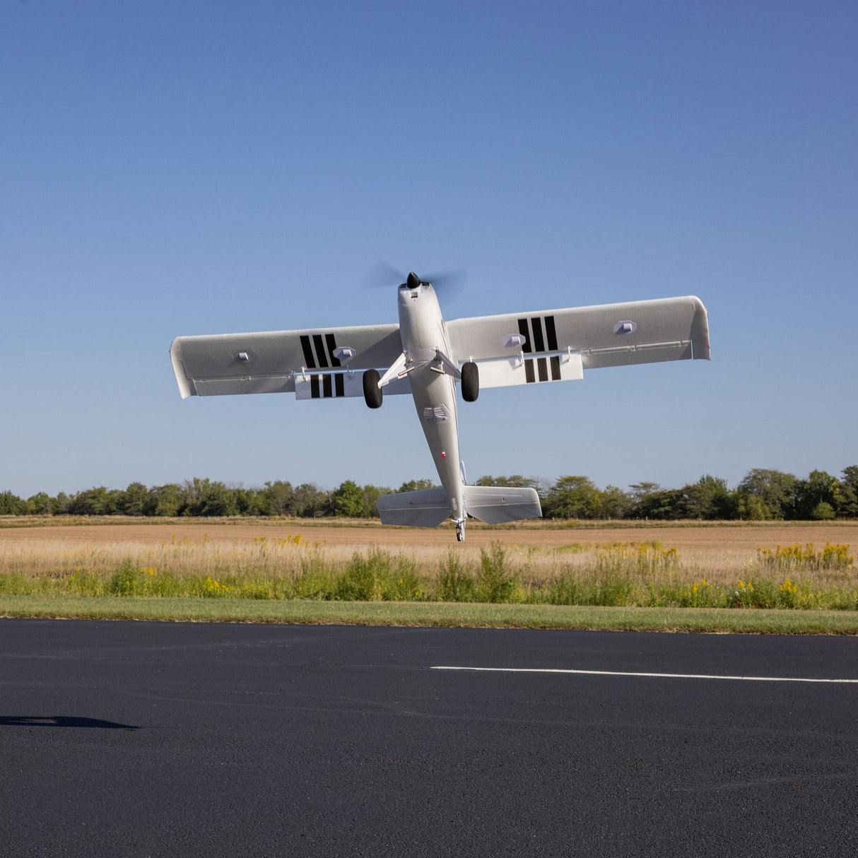 E-flite Timber 1.5m 10. Yıl Özel Sürüm BNF Basic