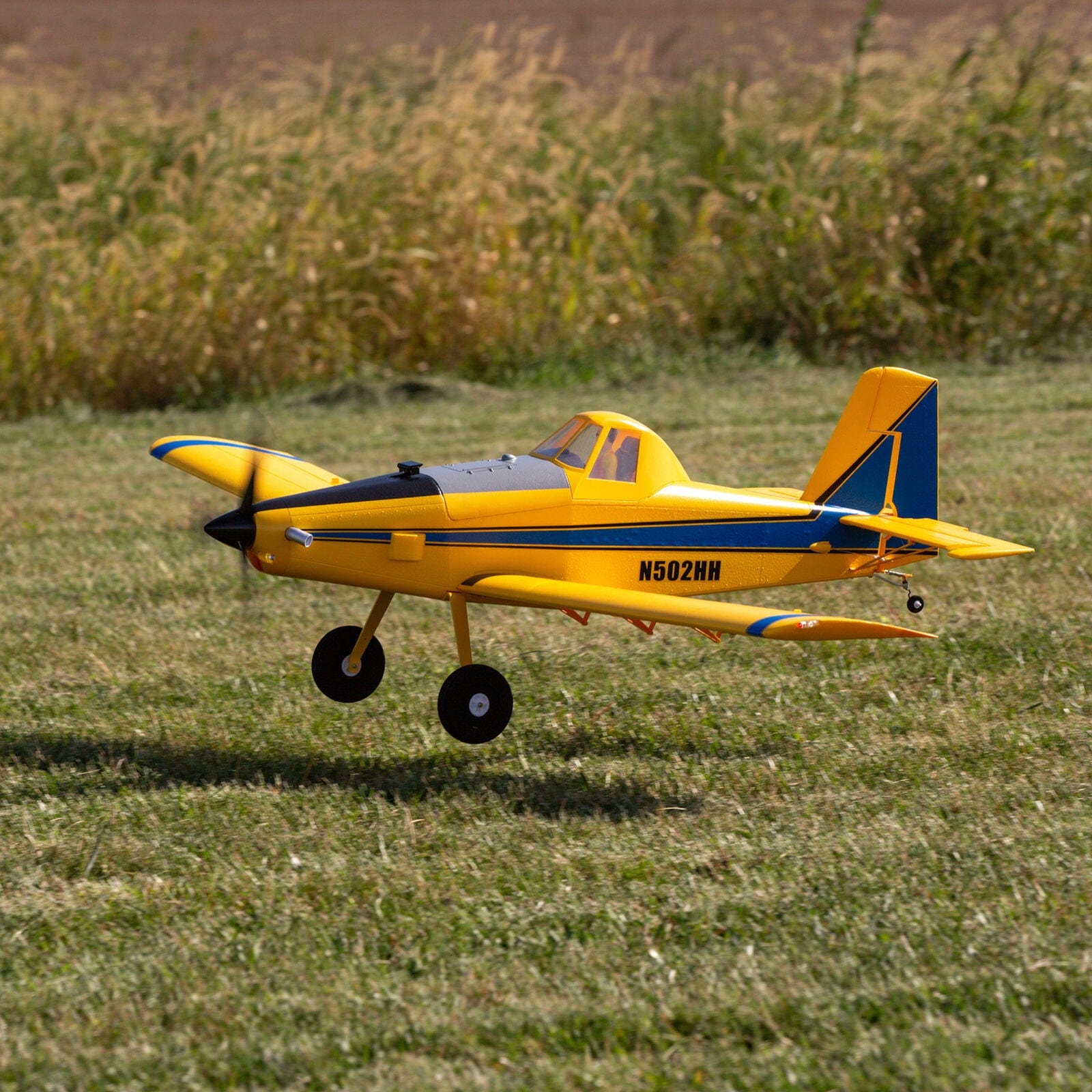 [Havada] E-Flite Air Tractor 1.5m BNF - Çimenlik alan üzerinde alçak geçiş