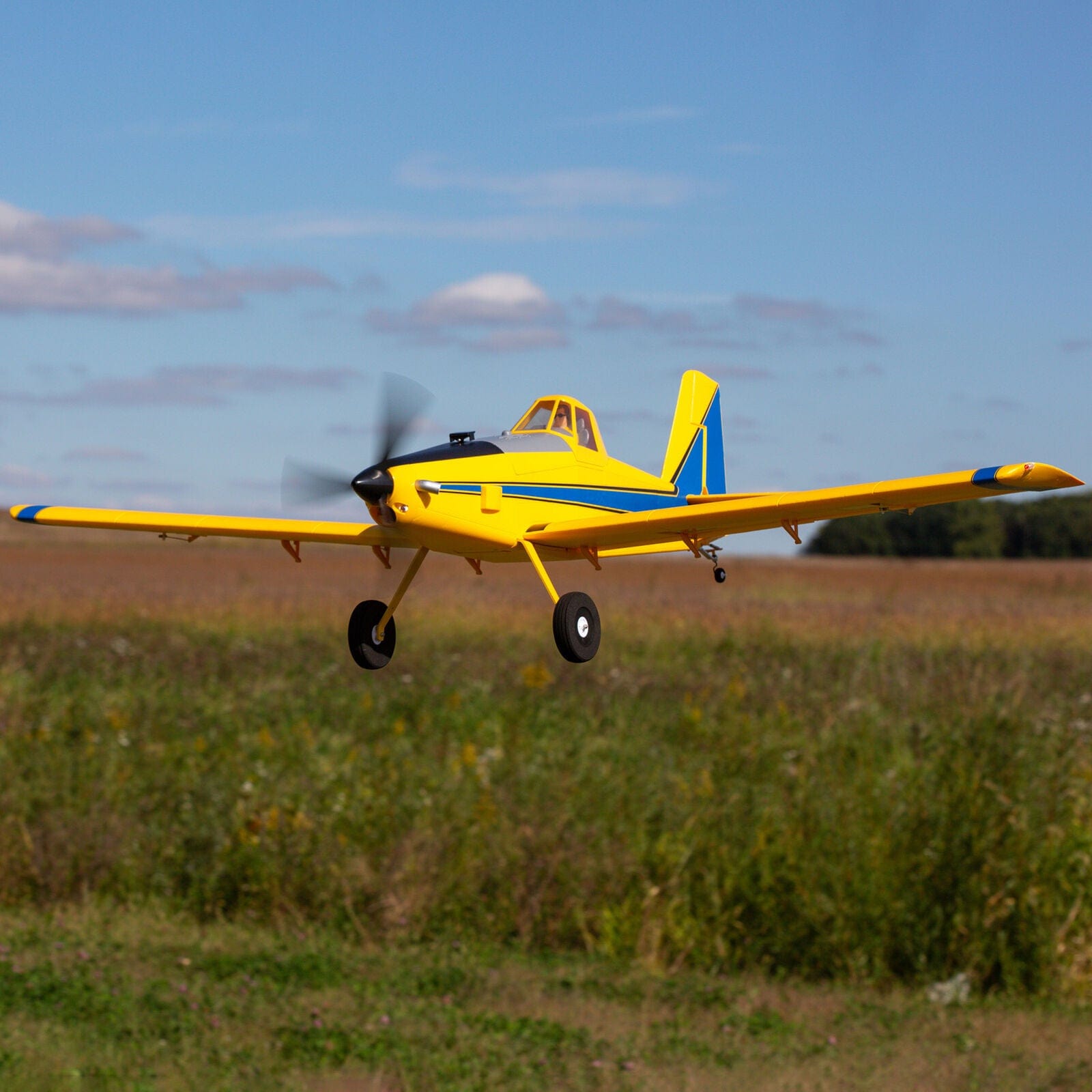 [Havada] E-Flite Air Tractor 1.5m BNF - Tarla üzerinde alçak uçuş, iniş yaklaşması