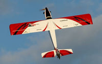 [Havada] E-flite Turbo Timber SWS 2.0m - Alttan görünüm, kanat ve gövde detayları