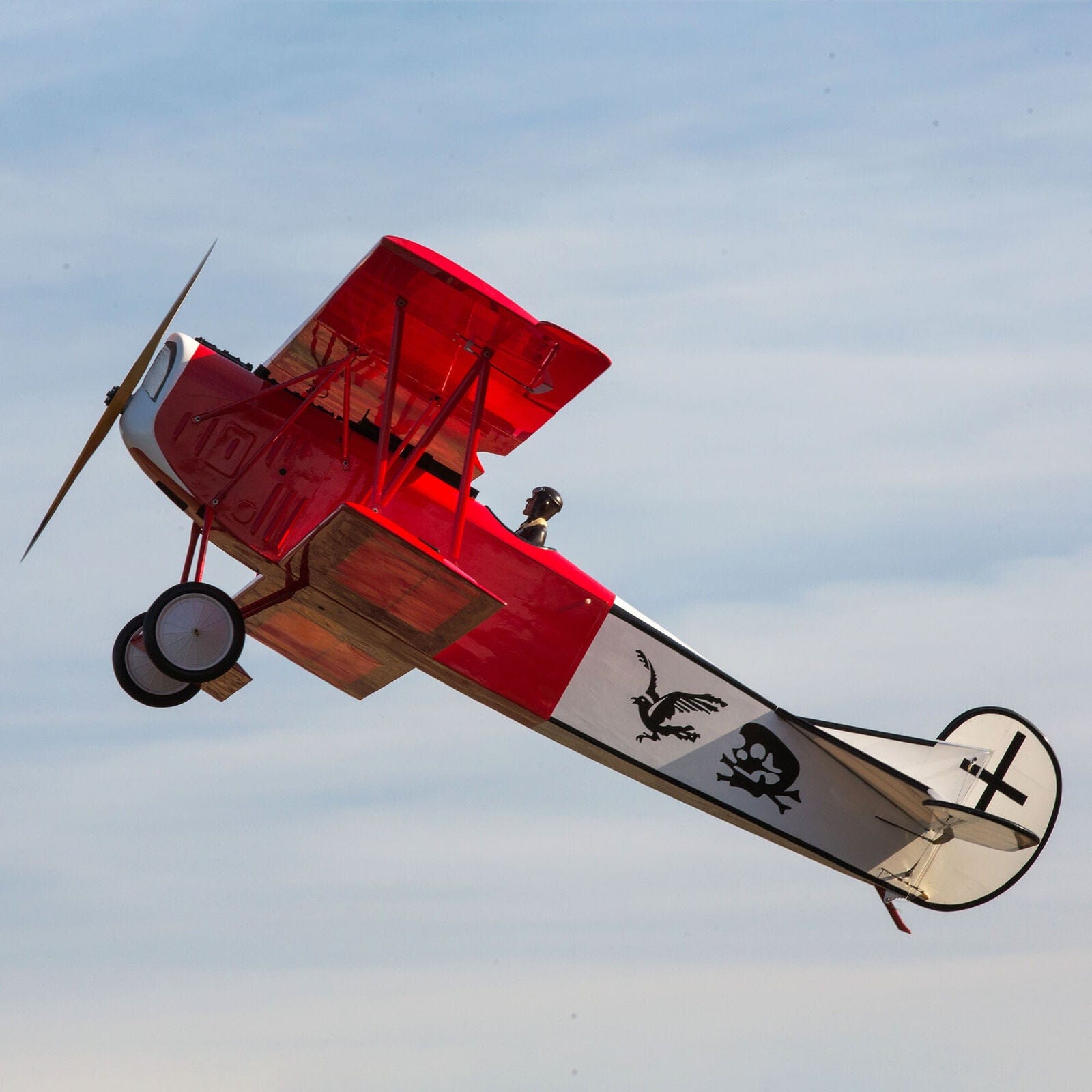 [Havada] Fokker D.VII 87 inç ARF - Dik tırmanış, gövde altı ve Balkenkreuz işaretleri