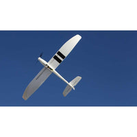[Havada] E-flite UMX Radian BNF - Alttan çekilmiş uçuş fotoğrafı